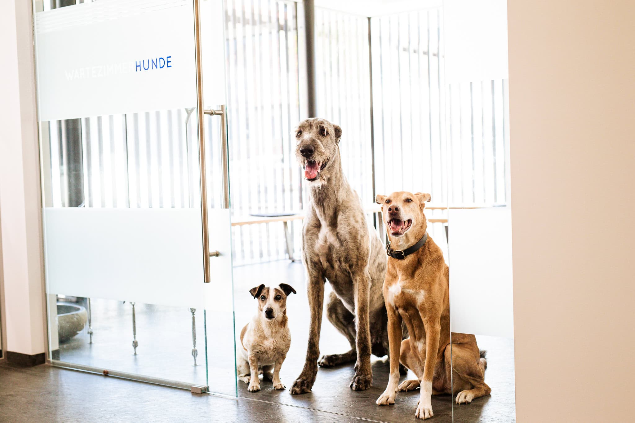 Onkologie – Tierspital am Schliersee