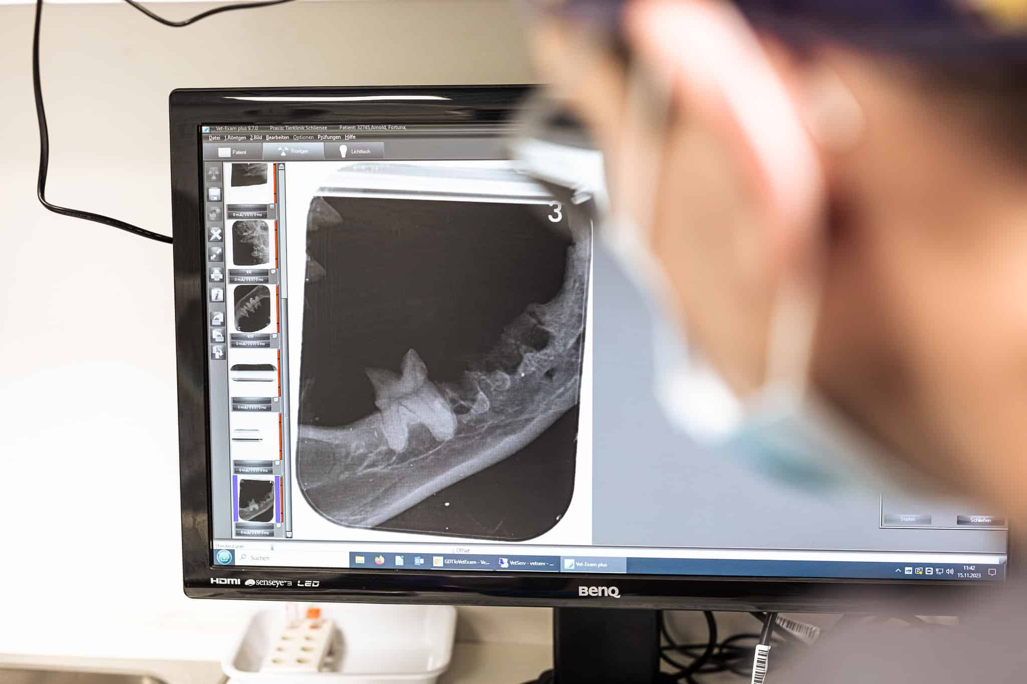Tierzahnheilkunde – Tierspital am Schliersee